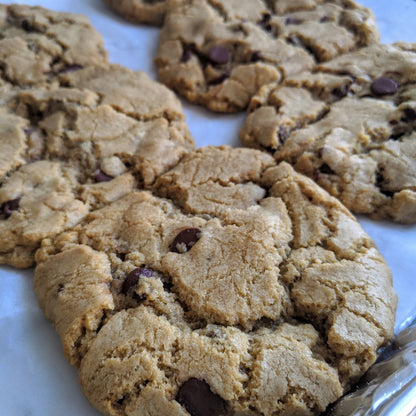 Chocolate Chip Cookie